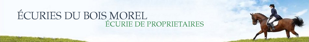 ÉCURIES DU BOIS MOREL